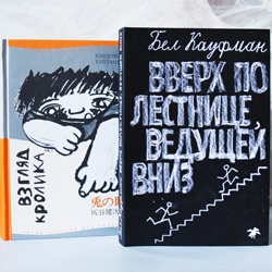 Клементина Бове: «В детской книге должна быть сила повествования»