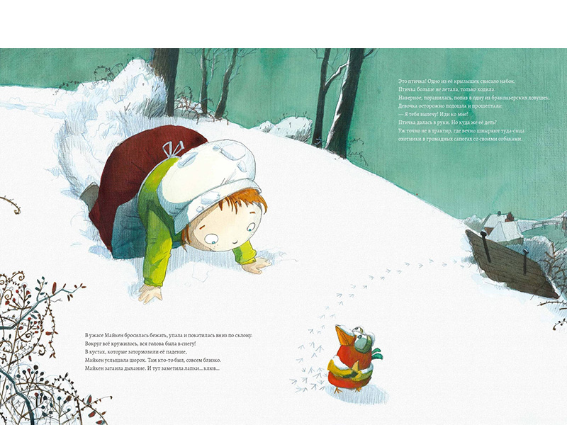 Иллюстрация из книги «Птица зимой»