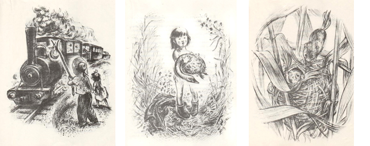 Иллюстрации из книги