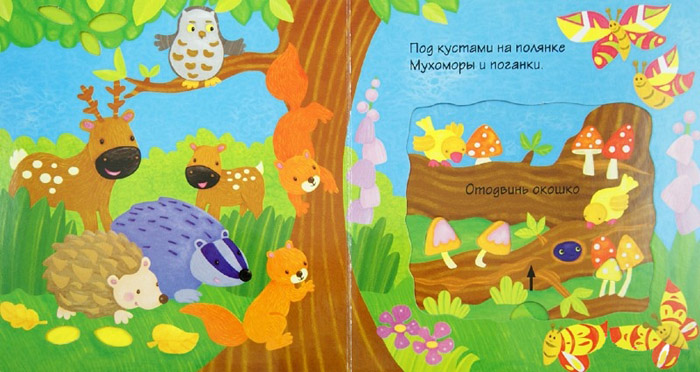 Иллюстрация Дарьи Бжезинской к книге «Удивительный лес»