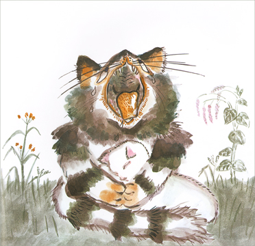 1 Иллюстрация Йоко Сано к книге «Сказка про кота который жил миллион раз»