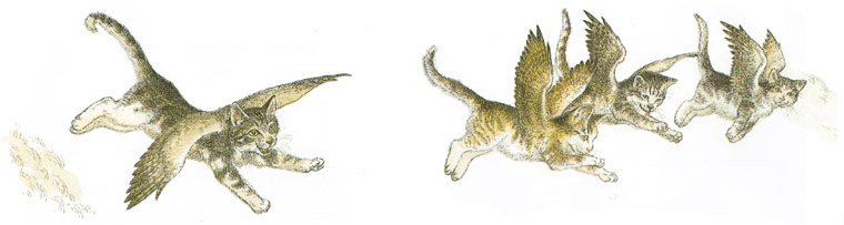 Иллюстрация С Д Шиндлера к книге Урсулы Ле Гуин «Крылатые кошки»