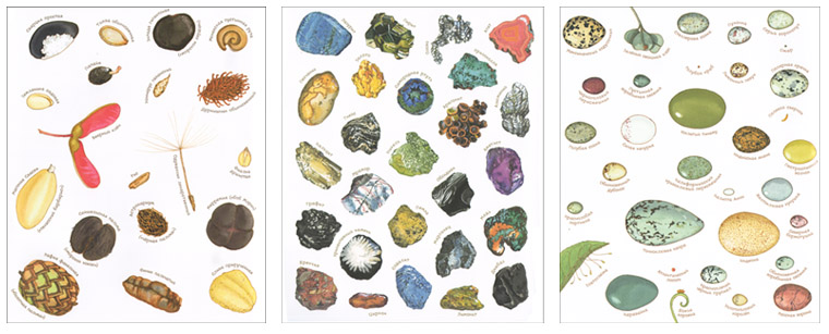 Форзацы книг