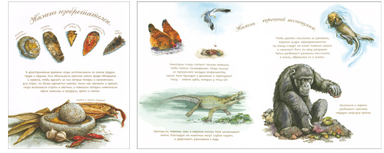 Иллюстрации Сильвии Лонг к книге «У камня своя история»