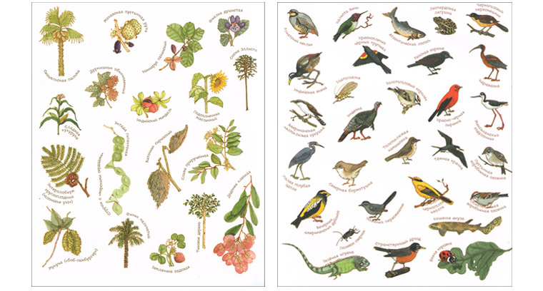 2 Форзацы книг