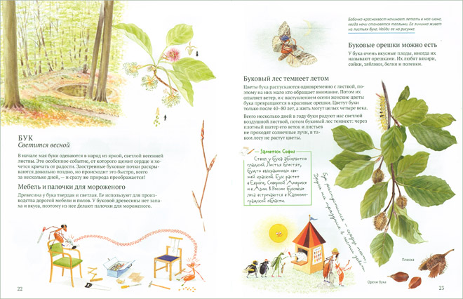 3 Иллюстрация Бу Мосберг к книге Стефана Касты «Софи в мире деревьев»