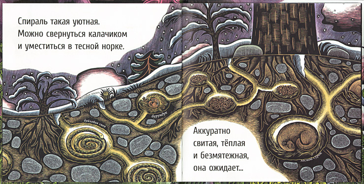 Иллюстрация Бет Кроммес к книге Джойс Сидман «Живые спирали»