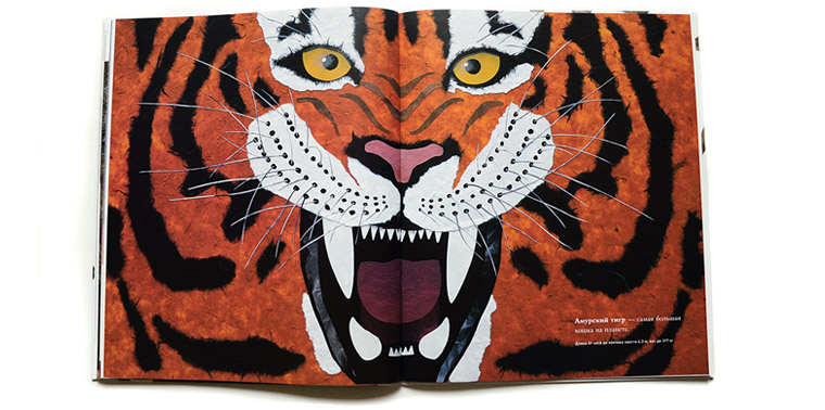 Тигр-иллюстрация Стива Дженкинса