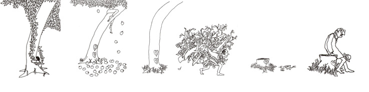 Иллюстриции Шела Сильверстайна к книге «Щедрое дерево»