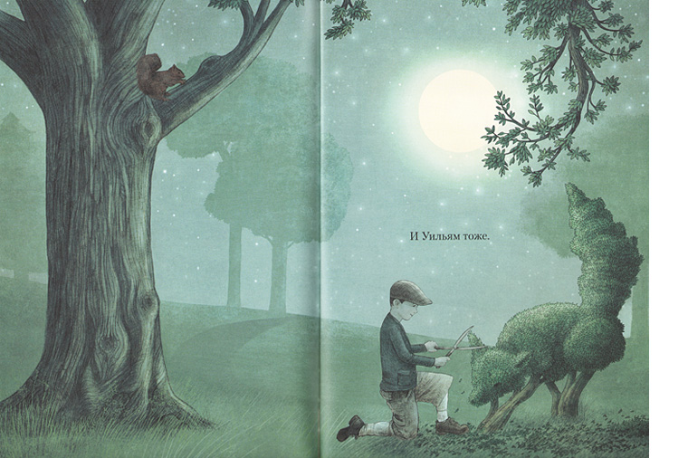 6 Иллюстрация из книги «Ночной садовник»