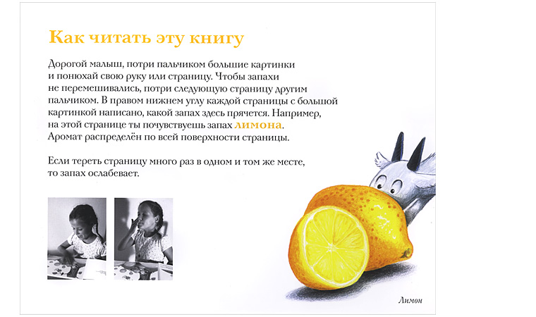 Иллюстрация из книги Иллюстрация из книги