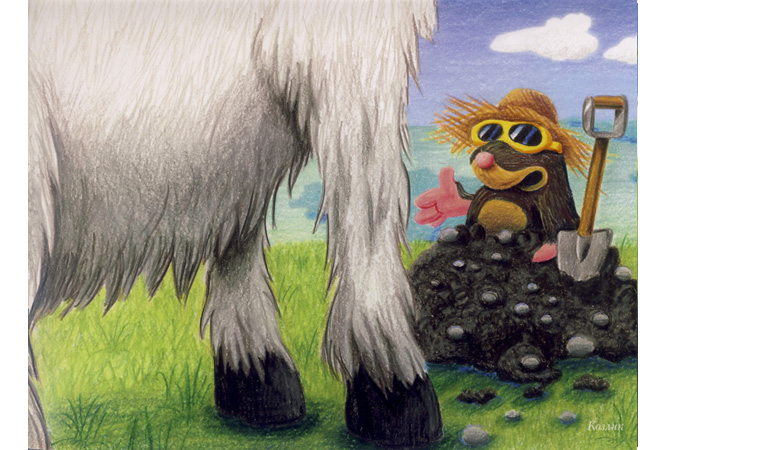 Иллюстрация из книги 2 Иллюстрация из книги 2