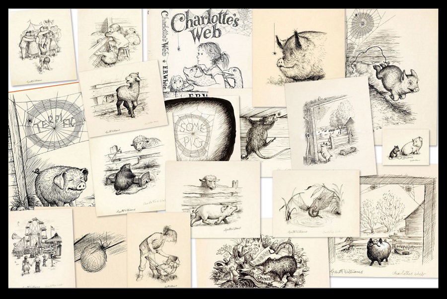 charlottes web illustrations