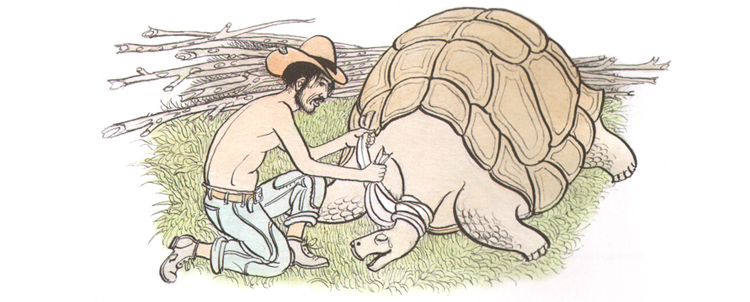 Иллюстрация Петра Багина к книге Орасио Кирога «Сказки сельвы»