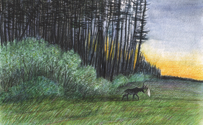 Illustr_Zimnaya dver Illustr_Zimnaya dver