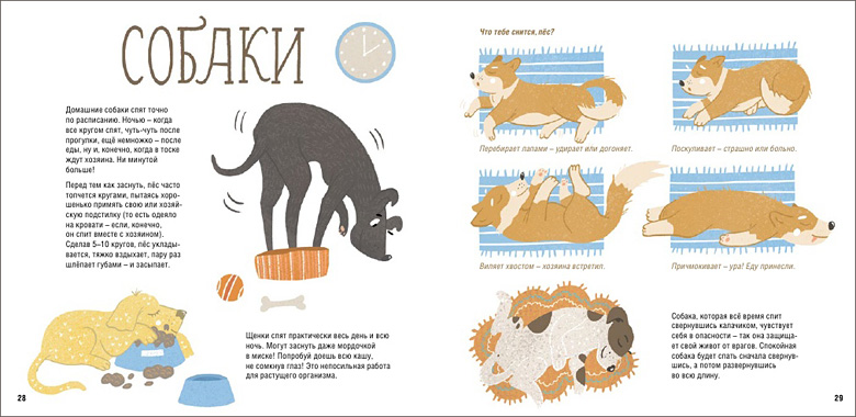 Kak spyat zveryata_Illustr 2