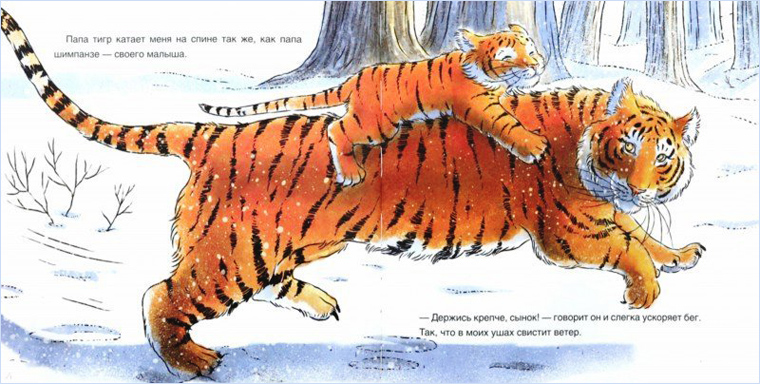 Kogda tvoy papa-tigr_illustr