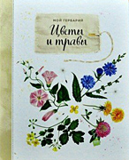 Moy gerbaryi cvety i travy