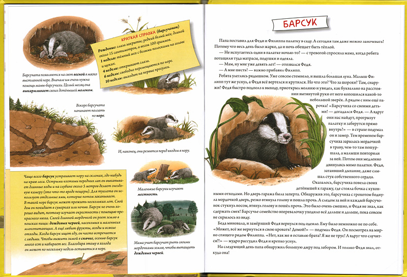 Pushistuye malushy_illustr 1