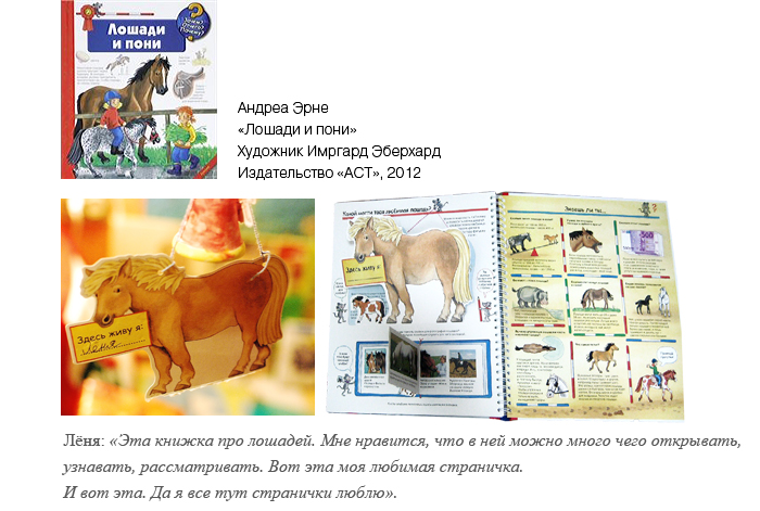 Лошади и пони