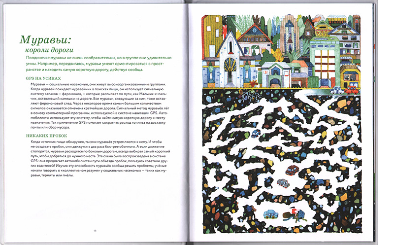 Pridumano pripodoy_illustr 1