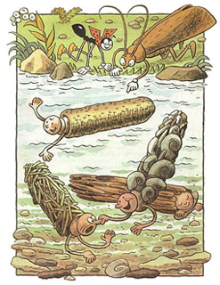 Иллюстрация