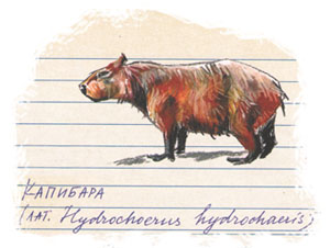 3 Иллюстрация Станислава Востокова к книге «Не дразнить и не кормить»