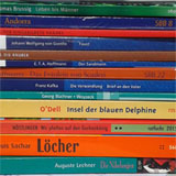 Kak izuchajut literaturu v nemeckoj shkole