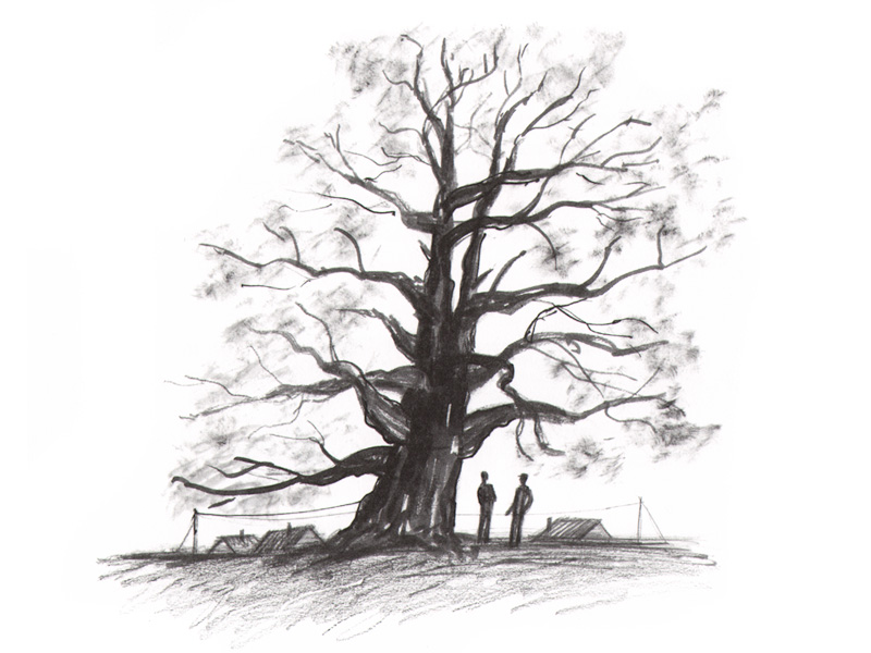 Недалеко росло дерево от дома 3 класс. 116 На рисунке 47 изображено дерево. Как изобразить деревья на рисунке.