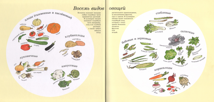 Восемь видов овощей