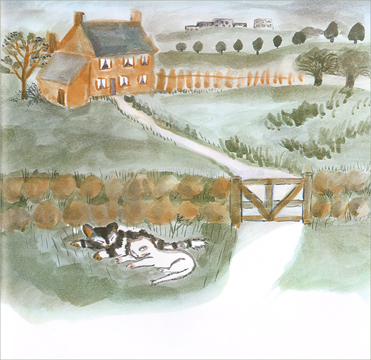 Иллюстрация Йоко Сано к книге «Сказка про кота который жил миллион раз»