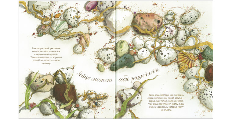 Иллюстрация Сильвии Лонг к книге «Яйцо любит тишину»