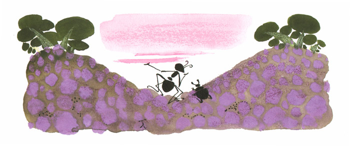 3 Иллюстрация Льва Токмакова к сказке Виталия Бианки «Как муравьишка домой спешил»