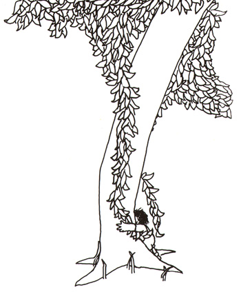 Иллюстриция Шела Сильверстайна к книге «Щедрое дерево»