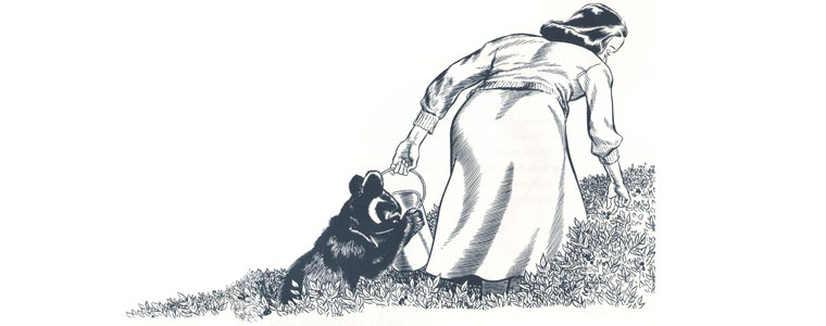 1 Иллюстрации Роберта Макклоски к книге «Черника для Саши»