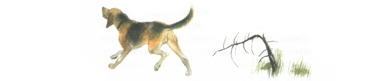 2 Иллюстрация Николая Устинова к книге Юрия Казакова «Арктур-гончий пес»