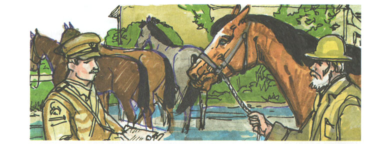 Иллюстрация Нонны Алёшиной к книге Майкла Морпугло «Боевой конь»