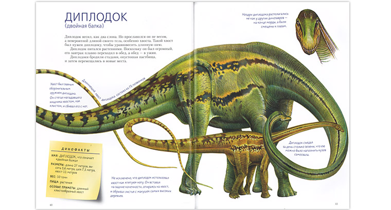 1 Иллюстрация из книги «Такие разные динозавры»