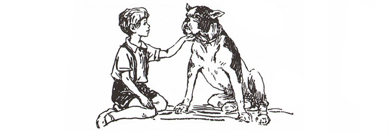 Иллюстрация Бориса Винокурова к ениге Анастасии Перфильевой «Пять моих собак»
