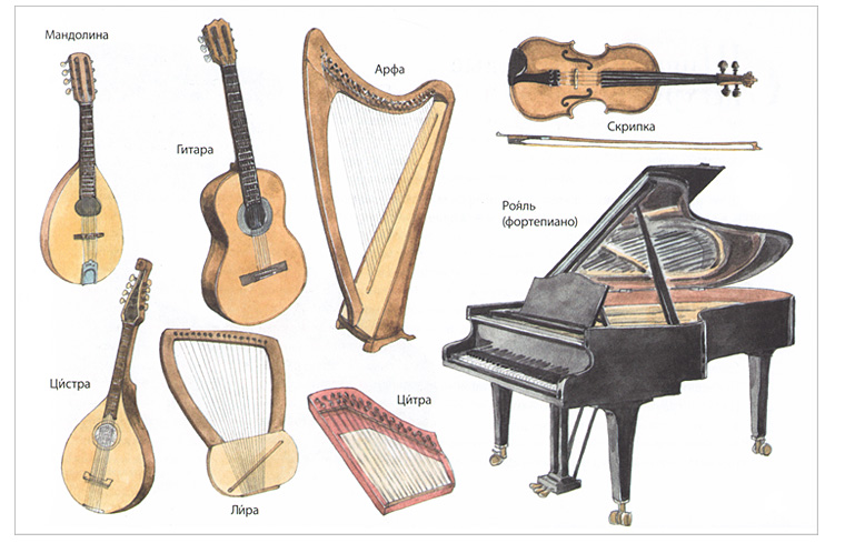 К струнным музыкальным инструментам относятся. Струнные смычковые и Щипковые инструменты. Струнно-Щипковые музыкальные инструменты. Струнные ударные смычковые Щипковые инструменты. Инструменты струны щиповые.