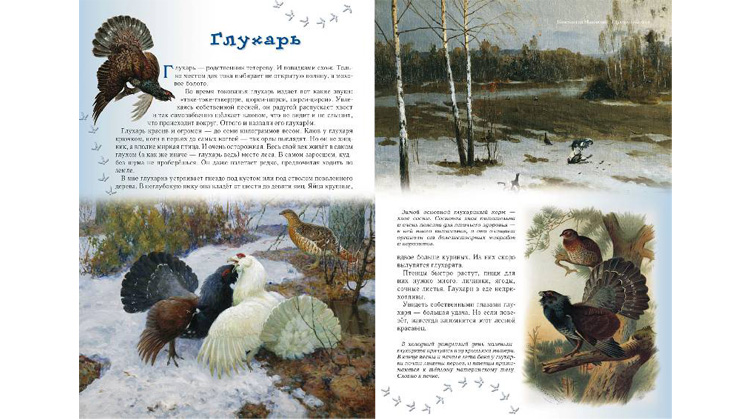 Иллюстрации из книги Сергея Махотина «Прогулки по лесу»