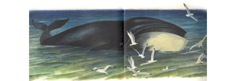 Иллюстрация Николая Устинова к книге Святослава Сахарнова «Кто в море живет»