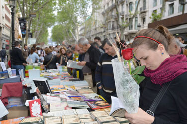Книги и Розы Барселона2