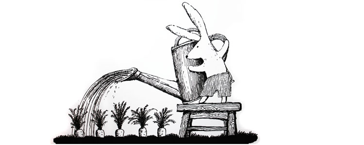 Иллюстрация Кати Толстой к книге «Истории о маленьком кролике»