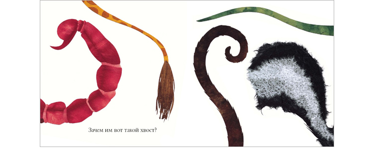 Иллюстрация из книги «Про хвосты носы и уши»
