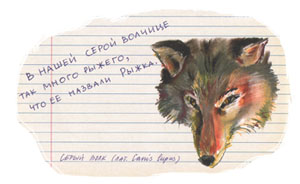2 Иллюстрация Станислава Востокова к книге «Не дразнить и не кормить»